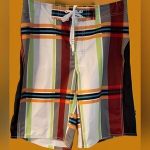 Multicolor Striped Board Shorts
